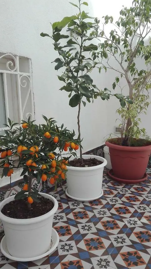 *** Bed & Breakfast Demetra Rooms Palermo Italien
