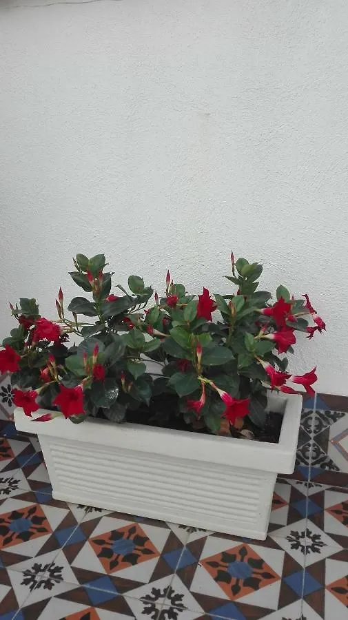 Bed & Breakfast Demetra Rooms Palermo